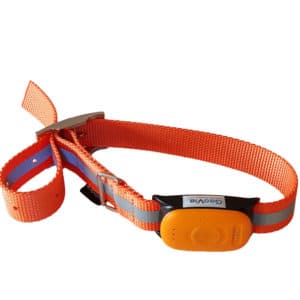 balise de repérage plug trace pour localiser les animaux