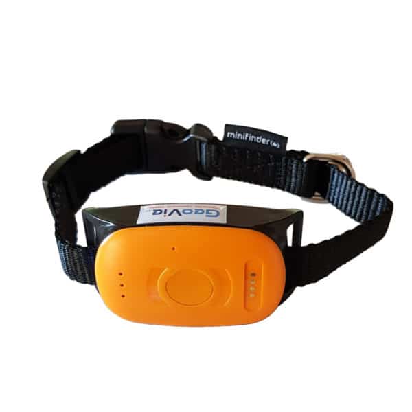collier de repérage plug trace pour chats