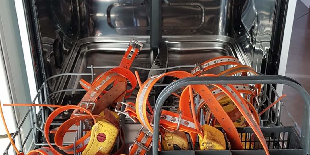 collier de reperage tracker geovie entretien et lavage des colliers GPS pour chien de chasse