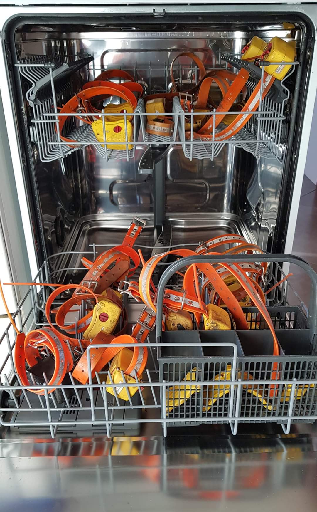 collier de reperage tracker geovie entretien et lavage des colliers GPS pour chien de chasse