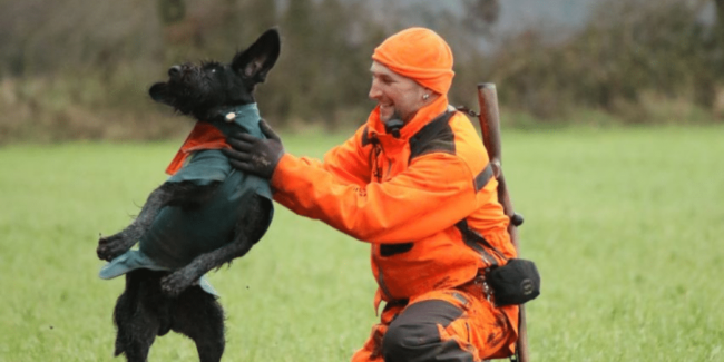 géolocalisation-chien géolocalisation chien