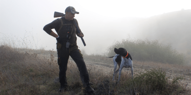 balises gps chiens de chasse balises gps chiens de chasse