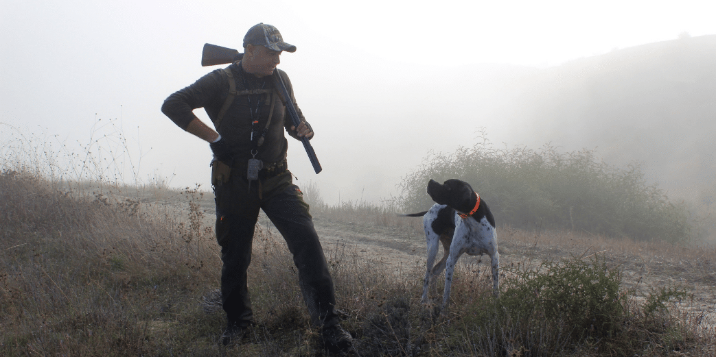 balises gps chiens de chasse balises gps chiens de chasse