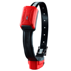 Collier de repérage ultracom tracker R10