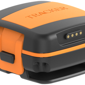 Tracker Bark balise GPS miniature