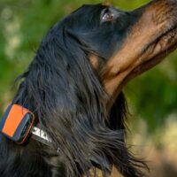 Tracker Bark (4G) miniature