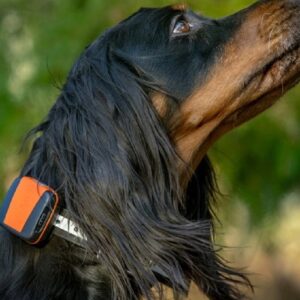 Tracker Bark (4G) miniature